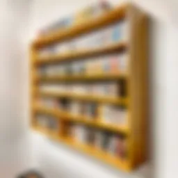 Stylish manga shelf design showcasing diverse collections
